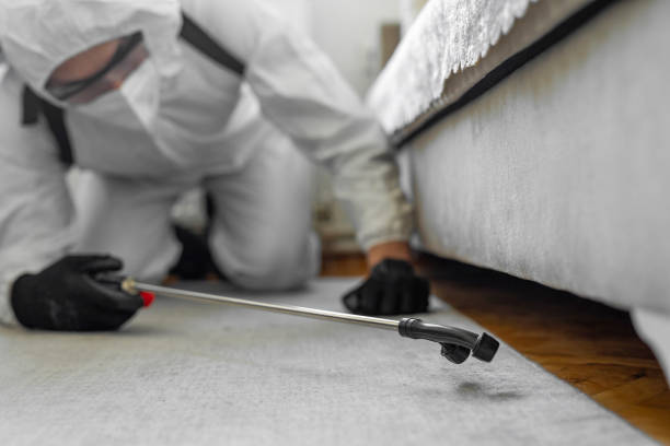 Professional Mosquito Control technician working in Evadale, TX