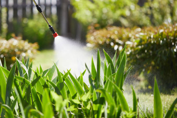 24/7 Emergency Mosquito Control experts in Evadale, TX