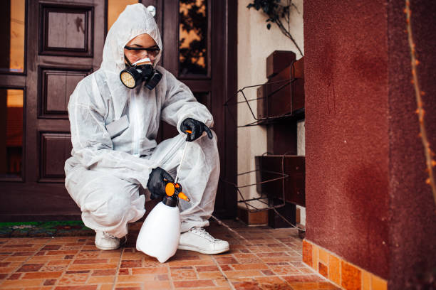 Reliable Mosquito Control contractor in Evadale, TX by Nex Pest Control